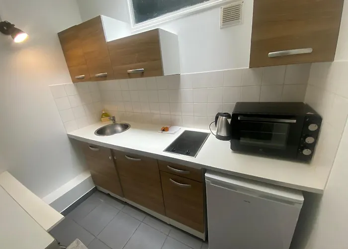 Appartement Jolie 2 Pieces Metro Voltaire - 11 - 2p - Flat-guest Paris